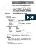 Informe Violencia Familiar de Alicia Chamay Cabanillas