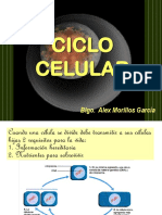 8. Ciclo Celular