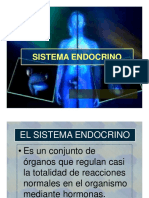 Sistema Endocrino