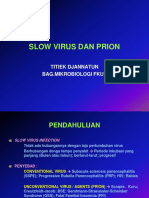 Mikrobiologi 1 Slow Virus Prion