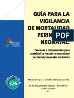 Dgss Acon Mortalidad Neonatal y Perinatal