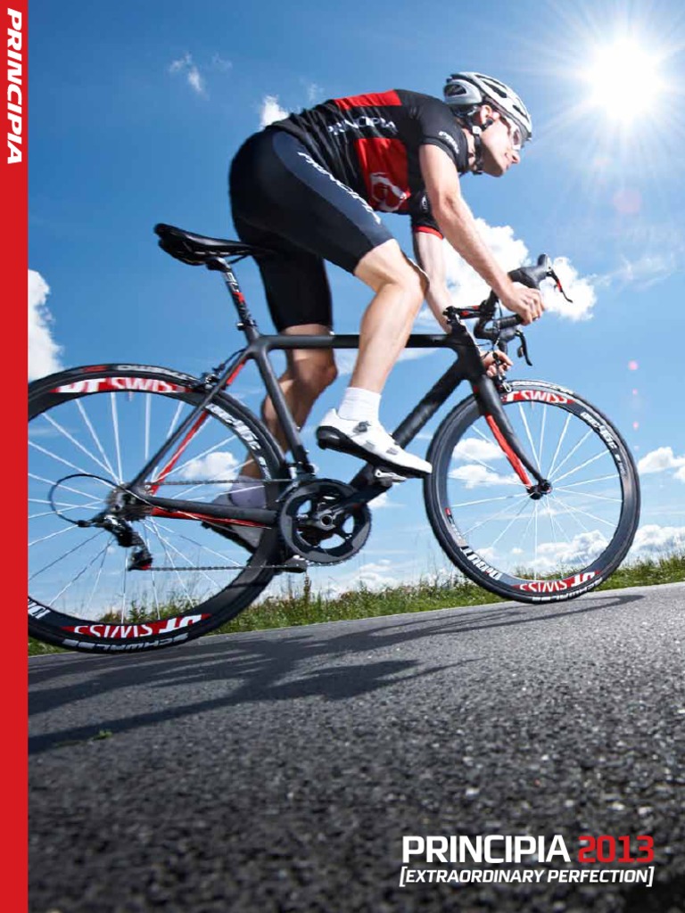Principia 2013 | PDF | Vehicle Technology | Vehicle Parts