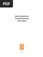 Diagnóstico Socioambiental_quilombos Vale Do Ribeiras