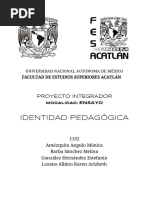 Ensayo La Identidad Del Pedagogo