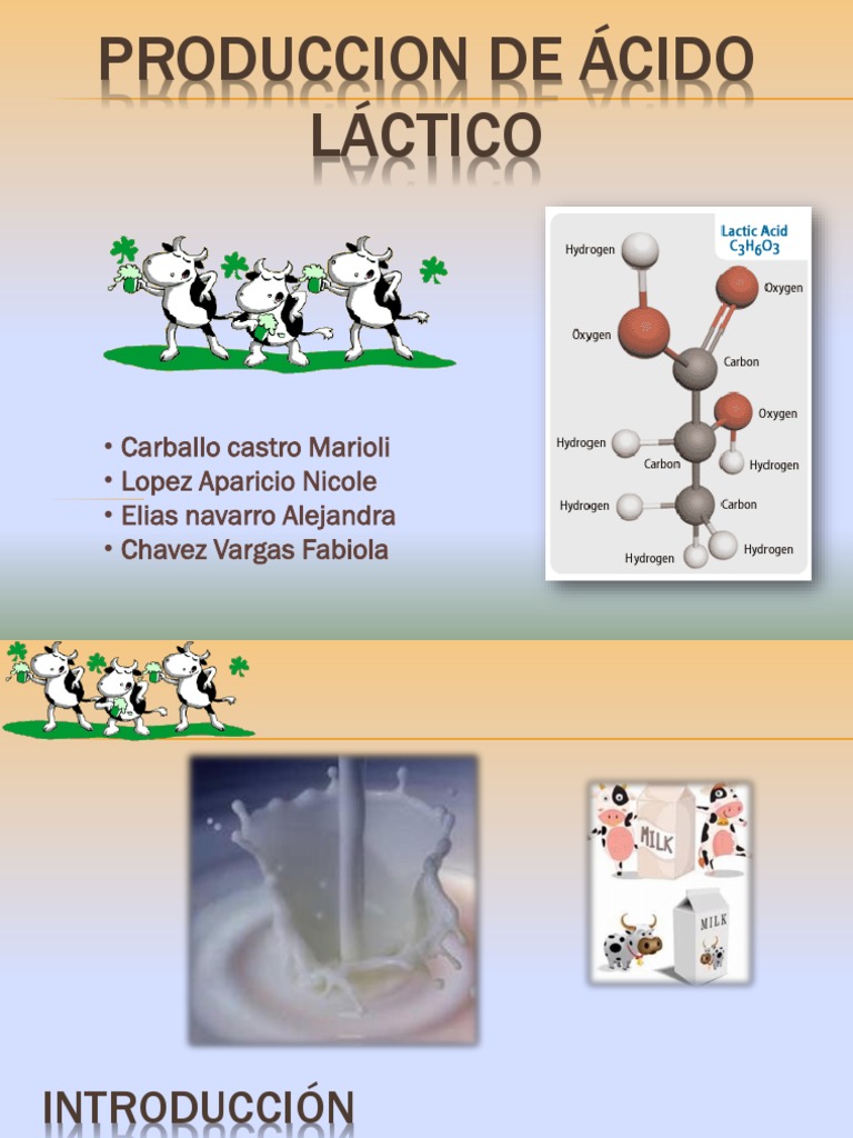 Produccion de Acido Lactico | PDF | Ácido láctico | Fermentación