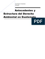 Antecedentes y Estructura Del Derecho Ambiental en Guatemala