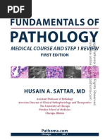 Robbins Basic Pathology, 10th Edition Textbook PDF Download | PDF ...
