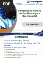 Gas Natural para Uso Industrial PDF