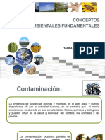 Semana 3_contaminacion y Desarrollo Sostenible