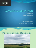 Community Assessment Damascus