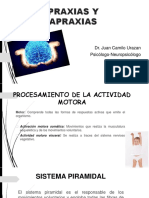 praxias-150515223252-lva1-app6891.pdf