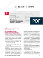 LESIONES DE MUÑECA Y MANO.pdf