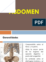 Clase+de+abdomen+fisioymorfologica (1)