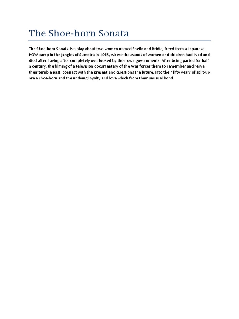 Distinctly Visual The Shoe Horn Sonata Essay