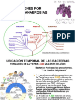 14 Anaerobios e Intraabdominales PDF