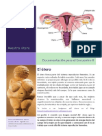 Ejercicios para El Utero PDF