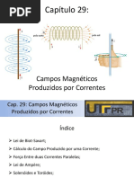Cap 29 - Campos Magneticos Produzidos por Correntes.pdf