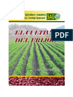 Guia Cultivo de Frijol 2011 PDF