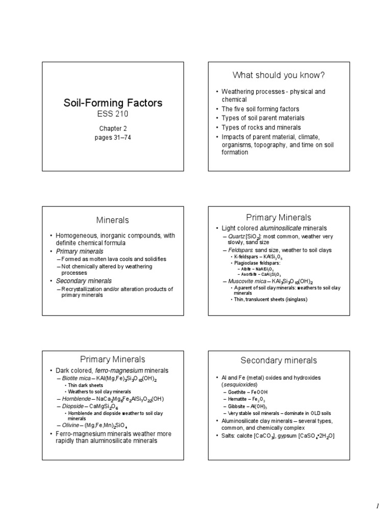 Soil Formation Pdf Weathering Rock Geology