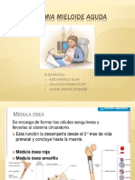 Leucemia Mieloide Aguda Tratamiento Causas Sintomas