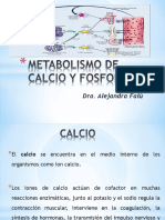 Metabolismo de Calcio y Fosforo