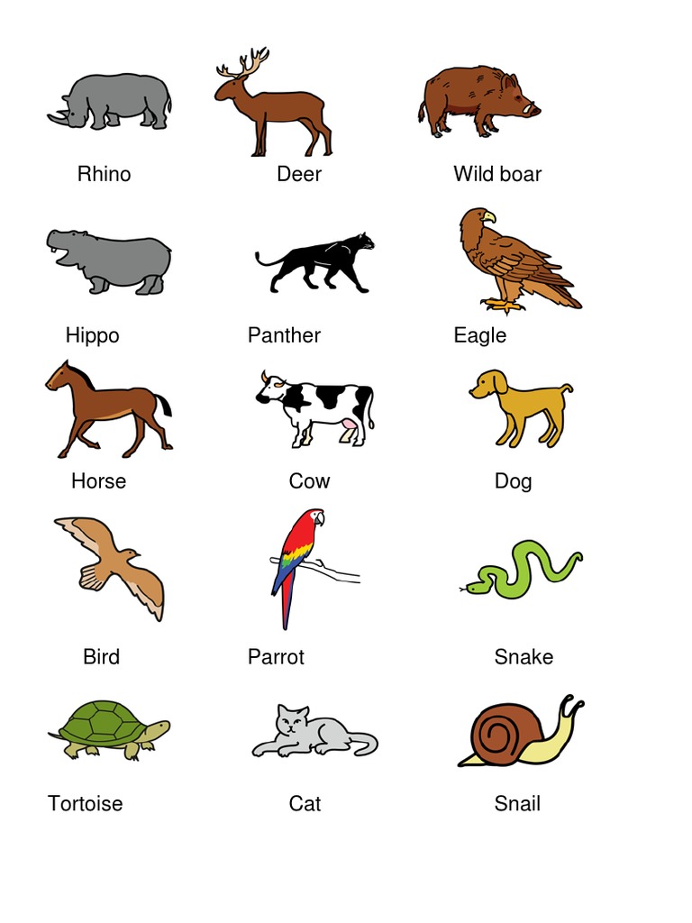 Animals PDF | PDF