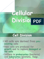 Cell Cycle & Cell Division.htm