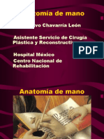 Anatomía y cirugía de mano.pdf