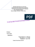 estructuraorganizativadeproteccincivilyadministracindedeYsastre-140119082049-phpapp01