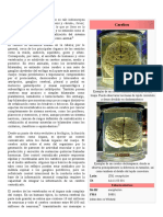 Cerebro