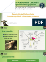 Dictiocaulosis, Protostrongylidosis, Oestrosis en Rumiantes