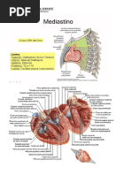 Síndrome Coronariana Aguda
