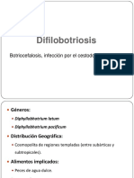 Difilobotriosis PDF