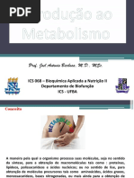 Aula Teorica 2 - Introdução Ao Metabolismo Ok