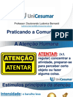 C Slides Tecnicas de Comunicacao e Oratoria PDF