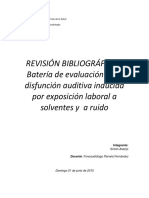 Simón Asenjo - Revisión Bibliográfica 2 Bateria Evaluación Solventes y Ruido