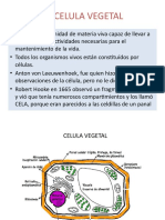 CELULA-VEGETAL.pptx