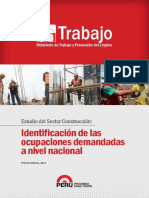 Estudio_del_Sector_Construccion_Identifi.pdf