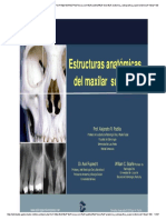 anatomia maxilar superior.pdf