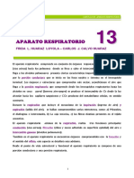 aparato respiratorio capitulo 13.pdf