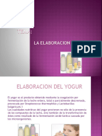 Elaboracion Del Yogurt