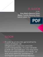 el sudor