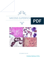 Micosis Superficiales DOCsub