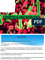 Genetica Microbiana