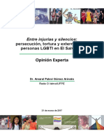 Opinión Experta Dr. Amaral Palevi Gómez- Caso Comision Interamericana Derechos Humanos 161 período 