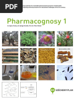 Novel Therapeutic Agents From Plants | PDF | Chemotherapy | Cancer