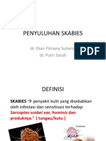 Penyuluhan Skabies