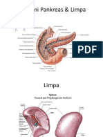 Anatomi Pankreas dan Limpa