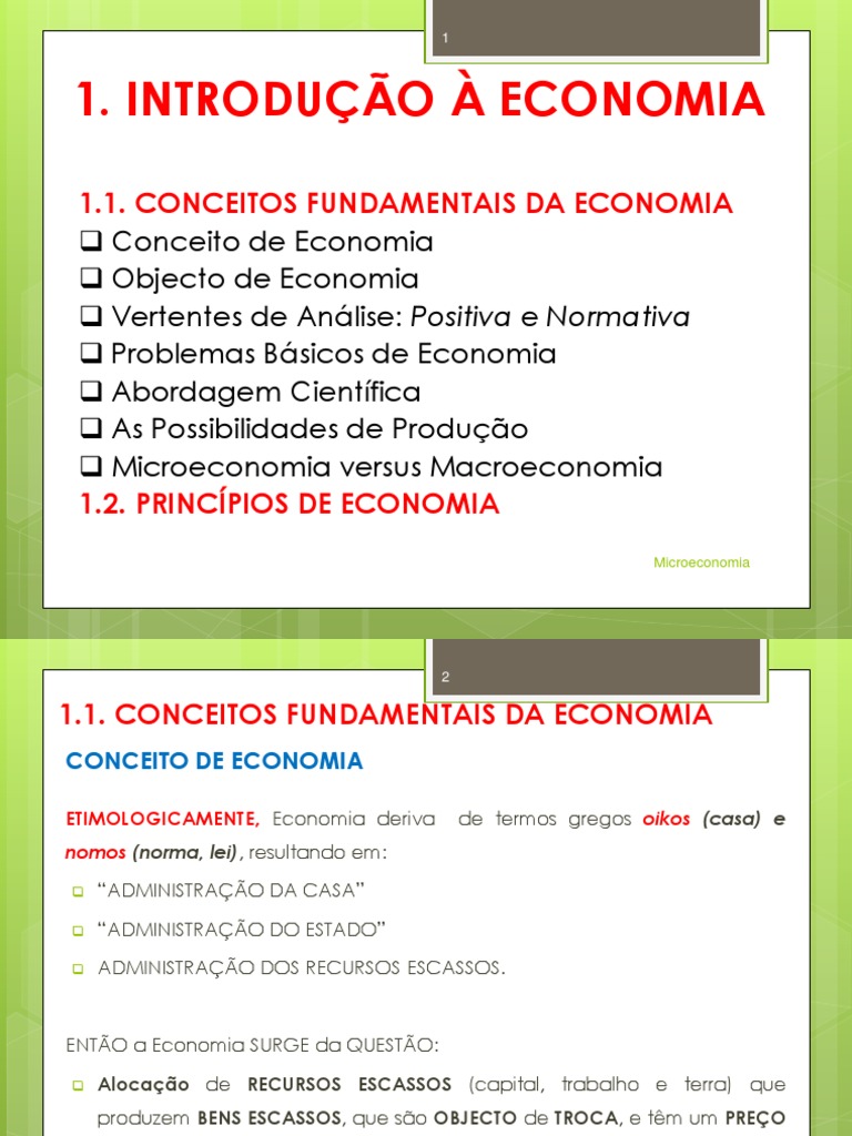 Introdução À Economia - Conceitos Básicos e Princípios de Economia ...