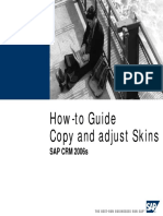 How-To Guide Copy and Adjust Skins: SAP CRM 2006s